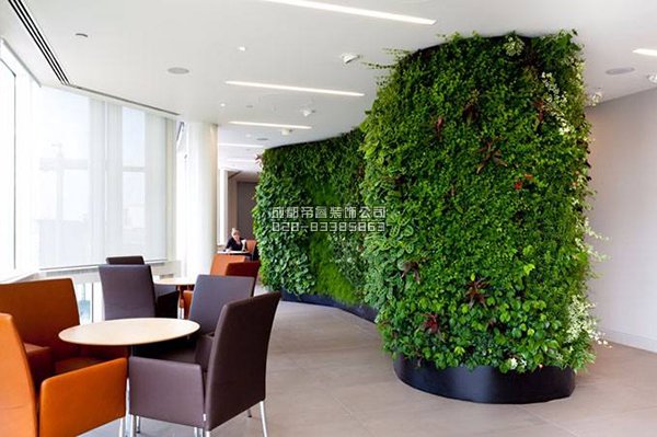 辦公室裝修完以后擺放什么綠植好？
